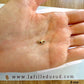 Fermoir mousqueton de 8 mm en or jaune 9 carats dans la main.