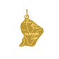 Pendentif carte de la Guyane en or jaune 18 carats avec gravures Cayenne et Kourou.