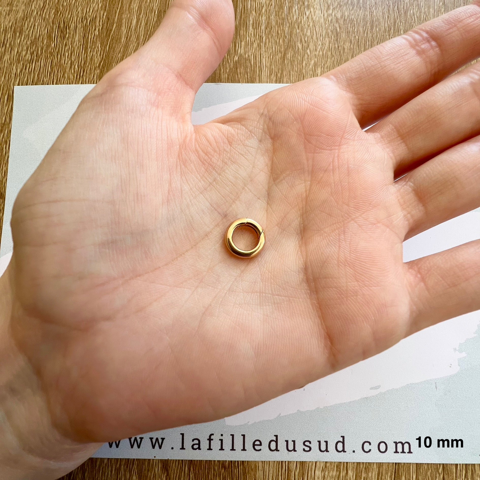 Taille réelle d'un fermoir à charnière invisible de 10 mm dans la paume d'une main.